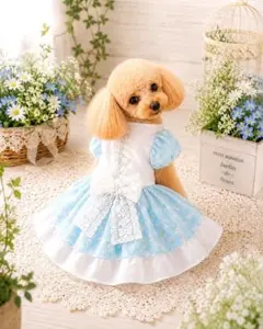 ハンドメイド犬服【爽やかブルーワンピース】