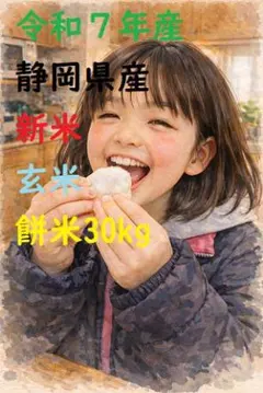 限定】（餅米）30キロ、希少の静岡県産令和7年度産新米玄米色選4回 