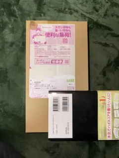 ポケモンセンター　ヒロシマ　スペシャルBOX