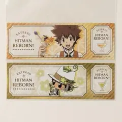 家庭教師ヒットマンREBORN!　京まふ　スキプラ　特典　チケット　沢田綱吉