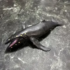 Item thumbnail for item a2c72d89-68e6-4966-b2d1-25191aa02c2f