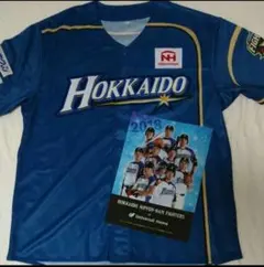 北海道日本ハムファイターズ ユニフォーム　クリアファイル 2点セット