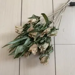 ⭐️❤︎グランオマージュ白❤︎⭐️ドライフラワーバラ❤︎⭐️ドライ