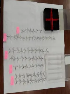 Item thumbnail for item c46a5359-b3d6-4567-8bcd-a82f32e8a792