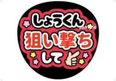 嵐 櫻井翔 うちわ文字