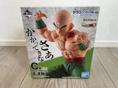 地球を守る戦士たち