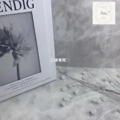 Item thumbnail for item 5b092a36-9ac6-44ce-82f0-a4e6eae768b4