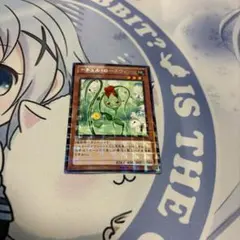 ナチュルローズウィップ 字レア ④