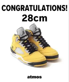 Nike Air Jordan 5 Retro 