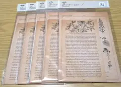 廃盤品　amifa インテリアペーパー 12枚入 5セット