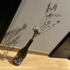 Item thumbnail for item d5799fa7-551d-4b90-80ce-ca6992c7da58