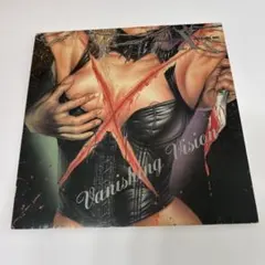 VANISHING VISION ジャケット(レコード無し)期間限定特別価格