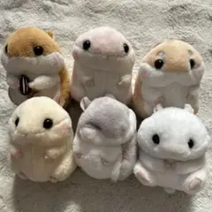 ころはむコロン　￼6個セット　大きさ約15センチ