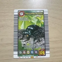 甲虫王者ムシキング マキシムスマルバネクワガタ 036 - メルカリ