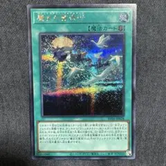 遊戯王カード シークレットレア『魔女の聖夜行』 新品未使用 シク