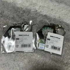 Dr.STONE レイニーデイスクラッチ 石神千空 アクリルキーホルダー　2個