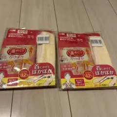 【新品・2袋まとめ売り】レック 温めぐり かけぽか&専用カイロカバー