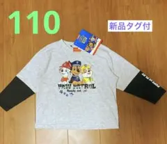 パウパト トレーナー