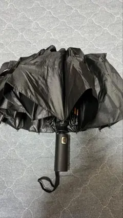 Item thumbnail for item c36ff682-413c-44c9-9d89-4e155b476ce1