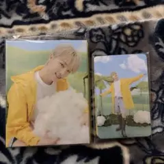 SEVENTEEN HEAVEN トレカ　バインダー　ディノ