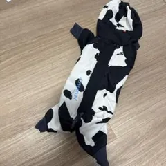 【未使用に近い】アルファアイコン　ドッグガードエア牛柄　M 完売品 ALPHAICON DOG GUARD AIR Sサイズ 牛柄