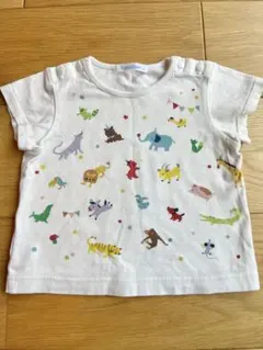 Item thumbnail for item 6430239b-6dae-43af-aabc-1ccc492c20b8