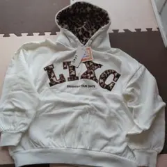 Item thumbnail for item f9ed0400-ebc1-4551-b97f-aefd2585fd71