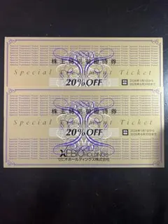 XEBIO HOLDINGS 株主優待券 20% OFF 2枚　ゼビオ