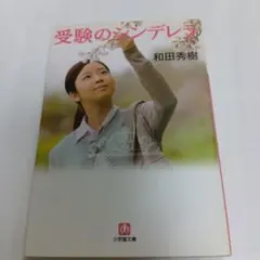 シンデレラ 文学・小説