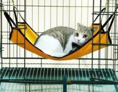 Item thumbnail for item 85dbe765-864f-46cc-aa66-84600ac5021d