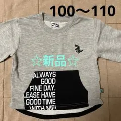 薄手トレーナー　100〜110 恐竜　ダイナソー　グレー