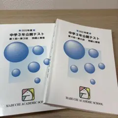 2025年最新】馬渕公開テストの人気アイテム - メルカリ