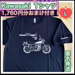 Item thumbnail for item 55f3effd-a28f-4941-a610-ec5c2d086752