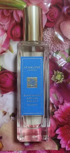 2026年最新】Jo Malone London サンダルウッド & スパイスド