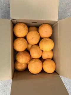 露茜 大きさ不揃い 2kg 和歌山県産 梅酒 シロップ ジャム - メルカリ