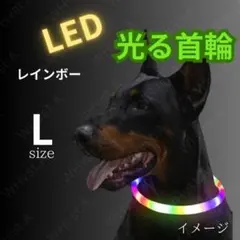 Item thumbnail for item 5a02d427-a0c9-4625-979d-c88eebc7aa62