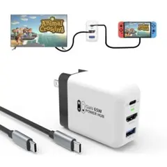 Switch ドック充電器 GaN（ホワイト　65W）