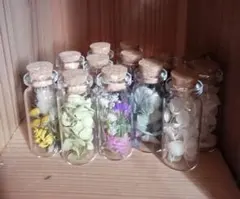 EKO ⭐様専用です　他の方は購入しないで下さい