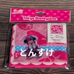 ディズニー　新品　ミニタオル　パルパルーザ　ミニー　ファンダーランド　TDR