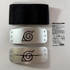 Item thumbnail for item b0d3c780-73e6-4768-a3cd-c5e556eb07bd