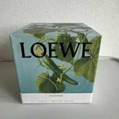 LOEWE Scented Candle Wasabi 170g - メルカリ
