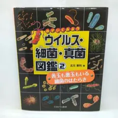 ST103様 リクエスト 2点 まとめ商品