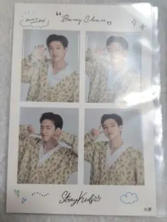 Straykids スキズ　プリントフォト風シール　5点セット