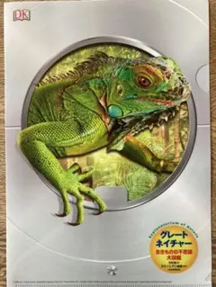 クリアファイル　グレートネイチャー