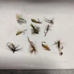 Item thumbnail for item ac054346-6438-4513-96ef-f383b781edac