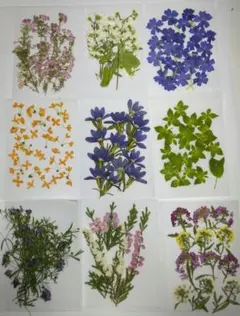 ここあ様 リクエスト 2点 まとめ商品