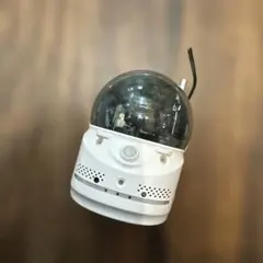 Item thumbnail for item 8a8b13b0-ef5d-43da-90f6-b9b7cbd59ae6