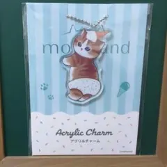 mofusand モフサンド ファミリーマート限定　アクリルキーホルダー 猫
