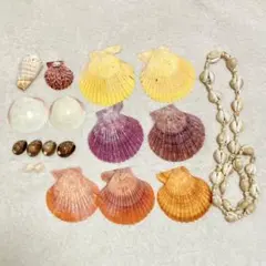 貝殻　貝がら　貝　カイ　巻貝　ネックレス　まとめ売り　セット