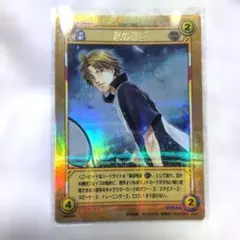 2026年最新】テニスの王子様 tcg 跡部景吾の人気アイテム - メルカリ